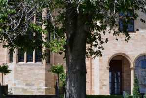 carrick hill 2014 (56)